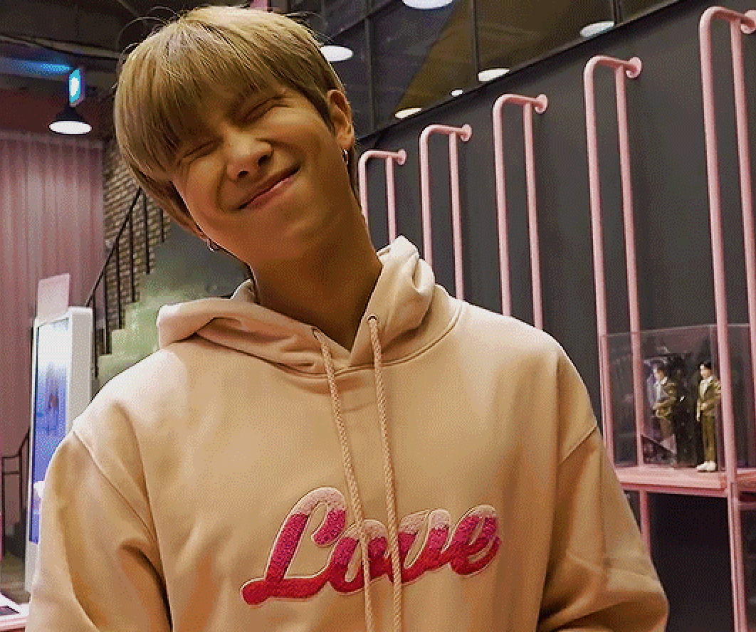 BTS BOY WITH LUV sold HOODIE